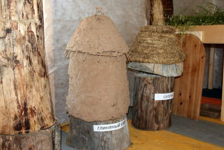Экспонаты Музея пчеловодства
