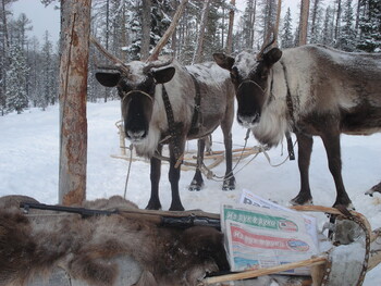 Этой зимой в Якутию запустят чартерные рейсы