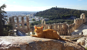 Афины признаны лучшим местом для бюджетного отдыха в Европе