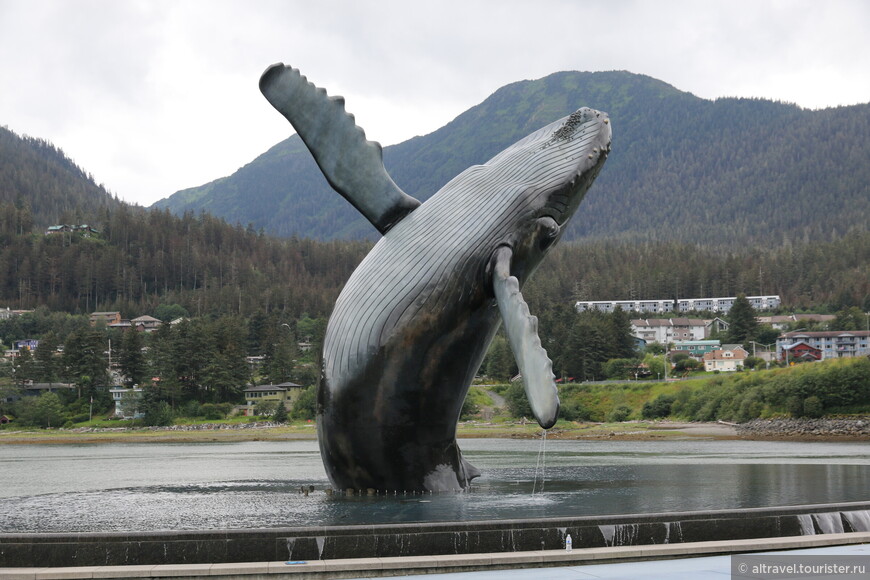 Скульптура горбатого кита в натуральную величину.