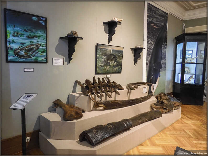 Губернский музей Тобольска — старейший музей Сибири