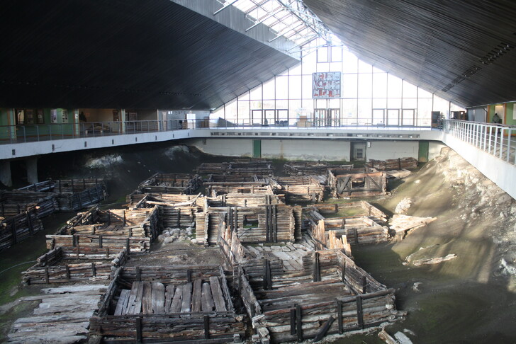Археологическая площадка в музее «Берестье»