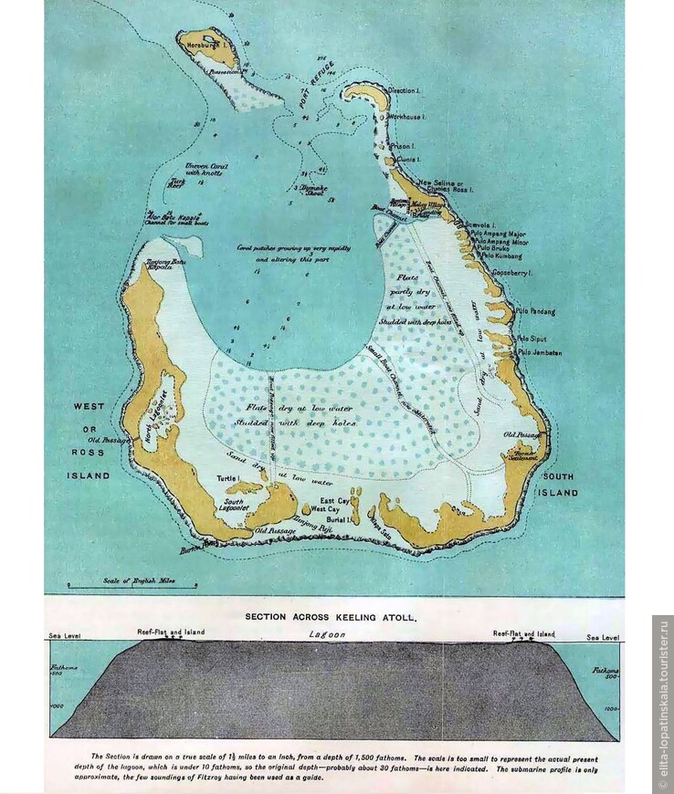 Карта атолла Кокос и его внутренней лагуны, составленная в 1889 году. Внизу также показана проекция подводного основания атолла в разрезе - резко поднимающегoся с пятикилометровой глубины плато, образовавшeгoся 55 миллионов лет назад.