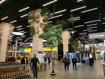 Аэропорт Амстердама вновь вводит ограничения пассажиропотока 
