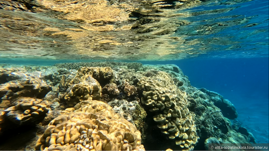 Растущий коралловый риф слева почти достигает поверхности воды, а сильное течение справа не даёт ему легко распространяться в своё русло глубиной в несколько метров.