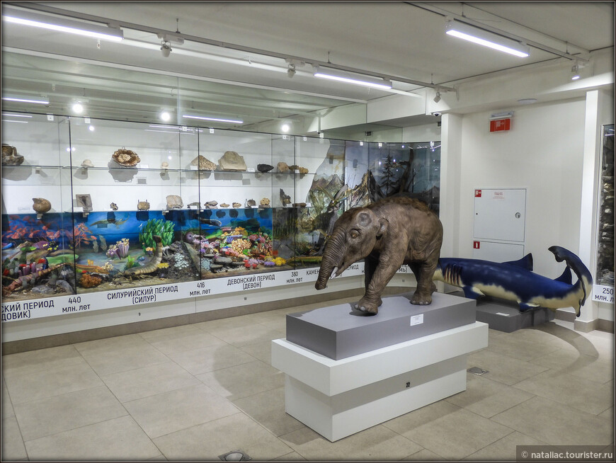 «Планета» — единственный в России музей частных коллекций минералов