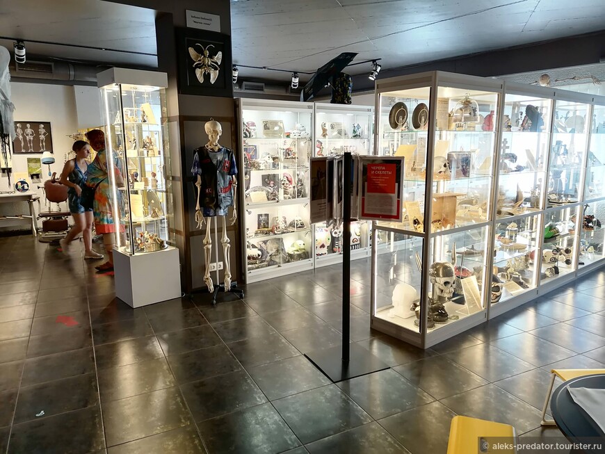 Атмосферный Музей Черепов и Скелетов в Зеленоградске