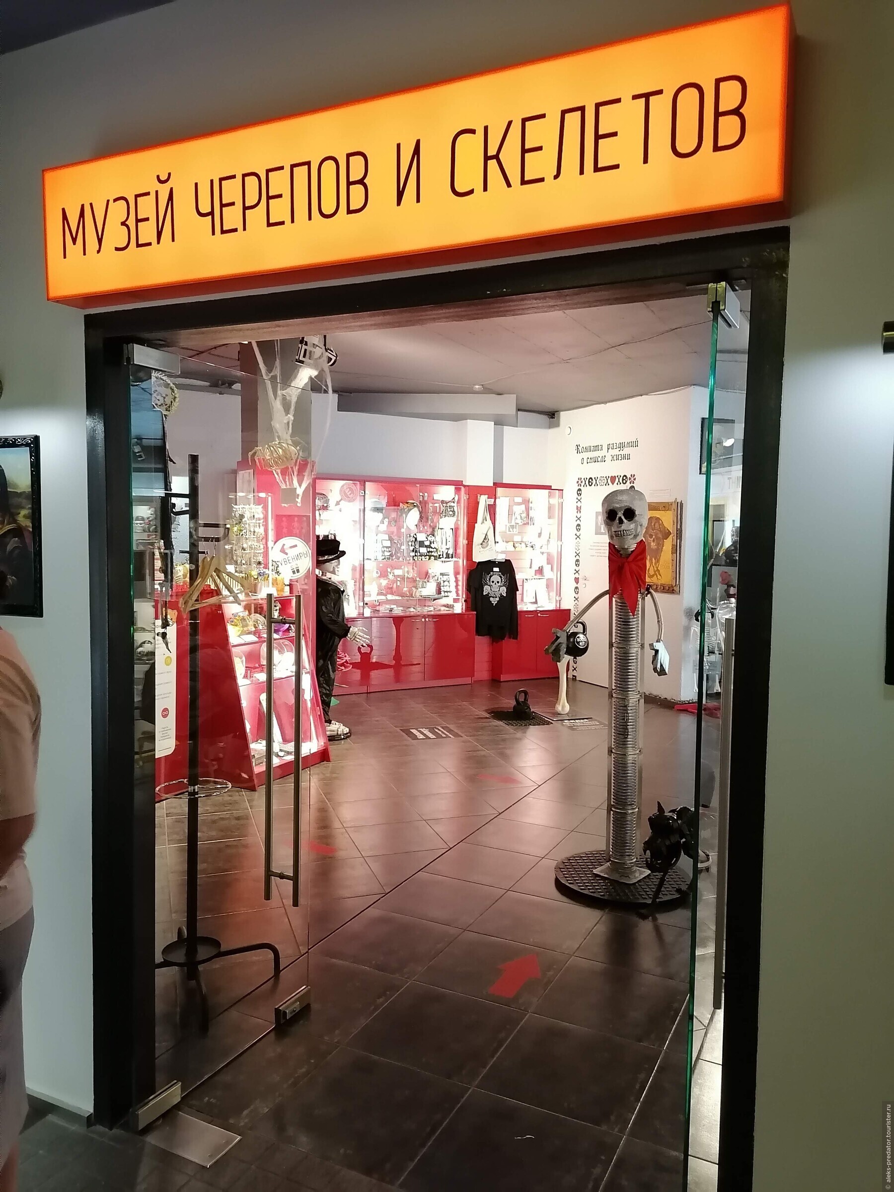 Музей Черепов И Скелетов Зеленоградск Фото