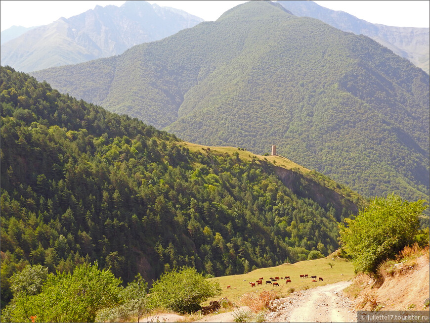 Ингушетия пешком — горы, башни, водопад