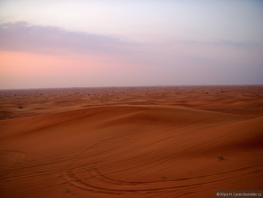 Арабские Эмираты (Часть 4: Пустынное сафари)