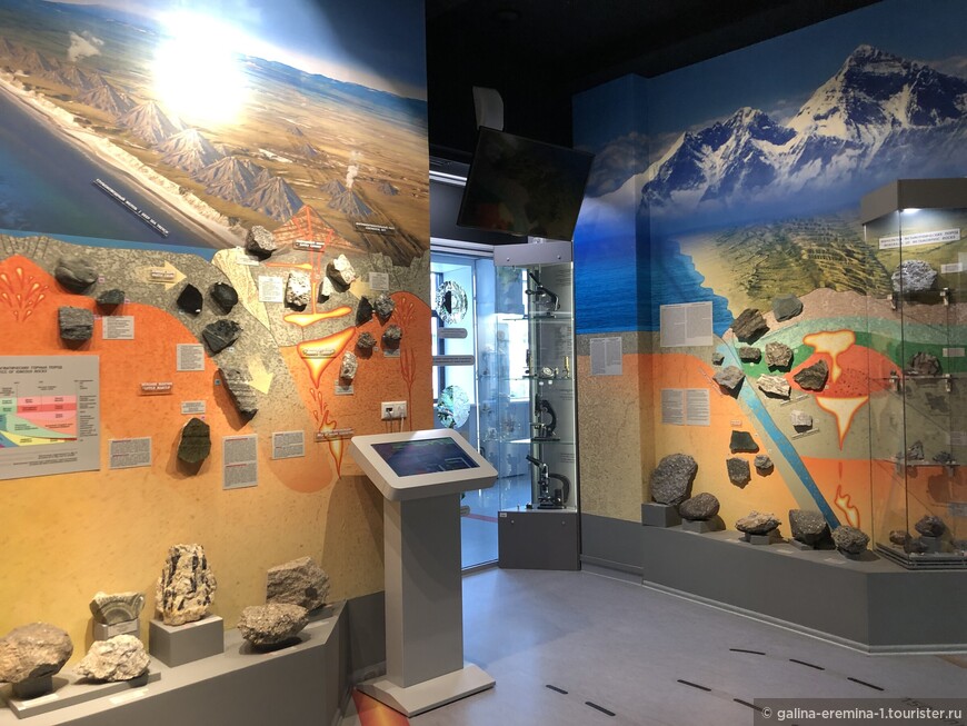 Музей «Эволюция Земли» в Новосибирском университете