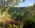 Villa Indah Ubud
