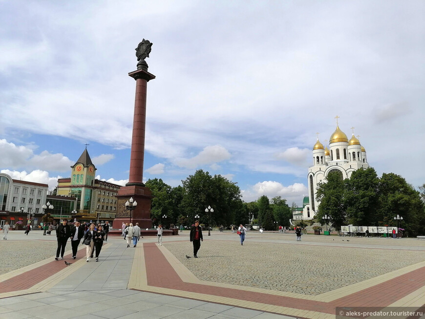 Легендарные хомлины — маршрут для посещения каждого героя в Калининграде