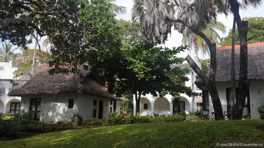 Отель Jacaranda.