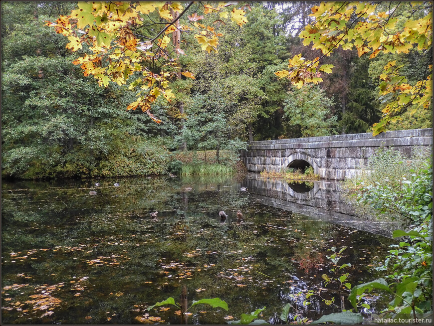 Петергоф. Памятник природы «Парк Сергиевка», ландшафтный парк, созданный в первой половине 19 века на месте естественного лесного массива. 