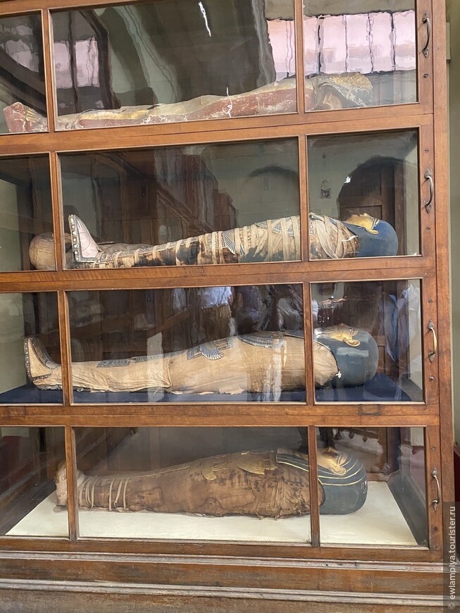 Ewlampiya посещает Каирский музей
