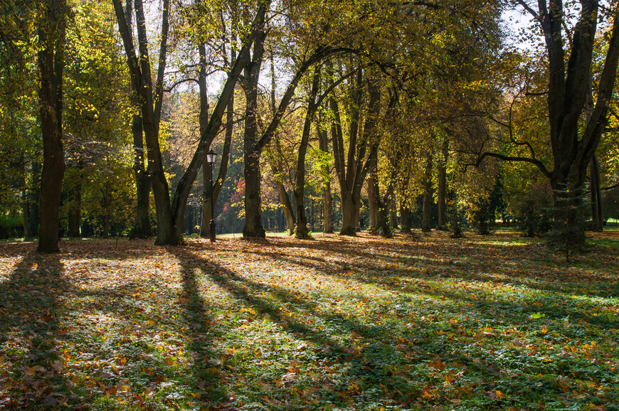 Отпуск в золотую осень. Гродно/Несвиж