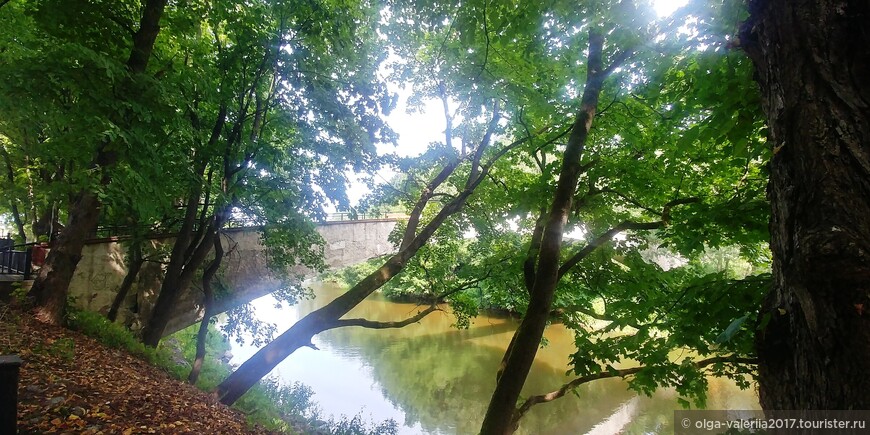 Горбатый мост и река Анграпа.