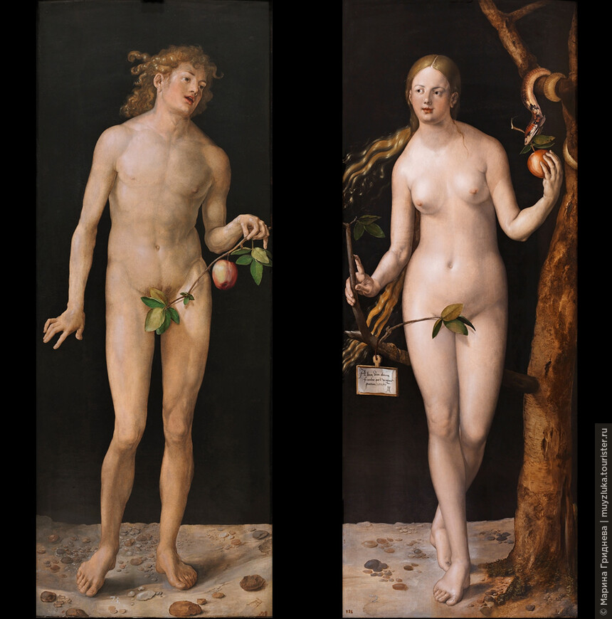 Адам и Ева, Дюрер (Музей Прадо)