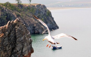 Самолёты на байкальский остров Ольхон летом будут летать чаще
