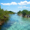 Островки с мангровыми зарослями