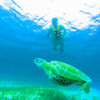 Плавание с морскими черепахами