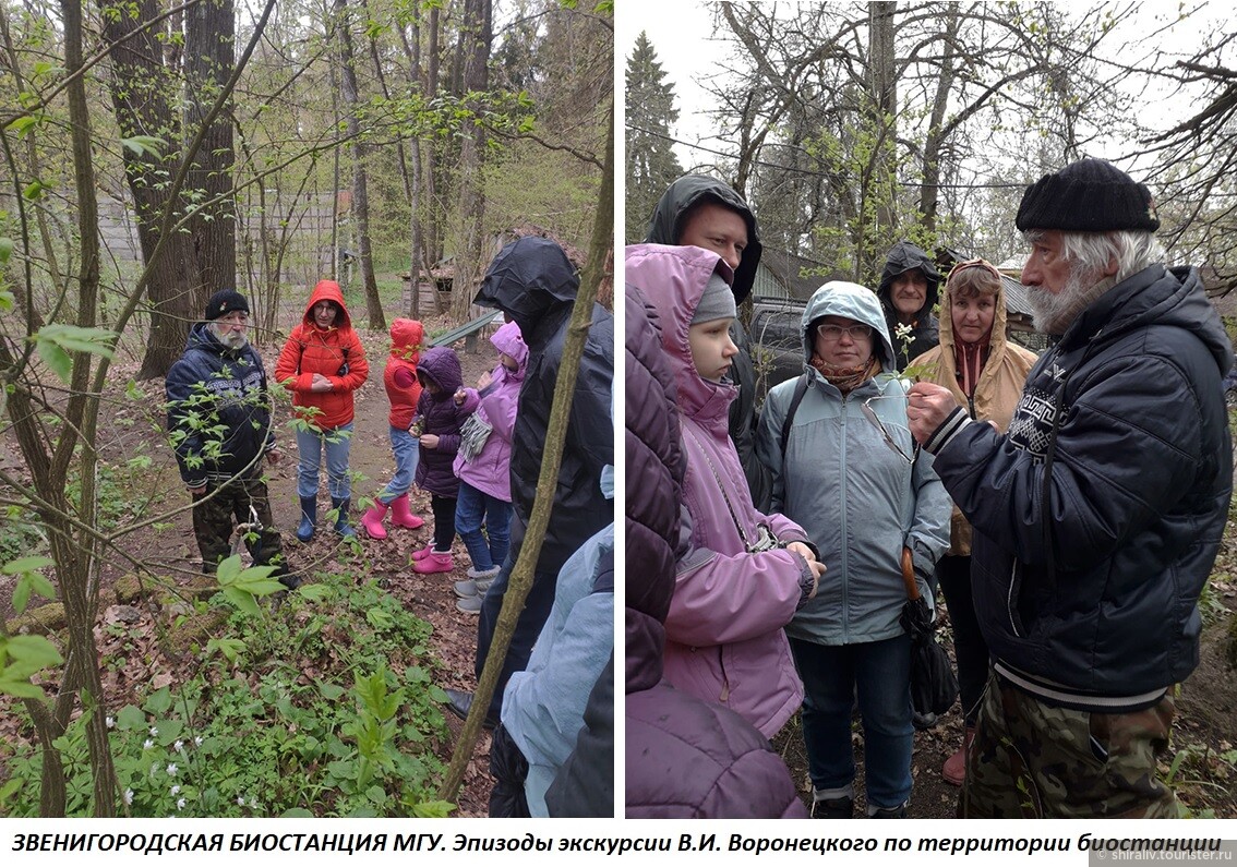 Звенигородская биостанция МГУ и карьер Сима, отзыв от shiraliv – "Отзыв ...