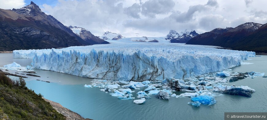 Перед ледником плавает масса отколовшихся от него айсбергов.