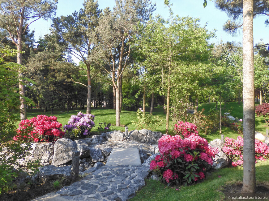 Японский сад в парке Галицкого