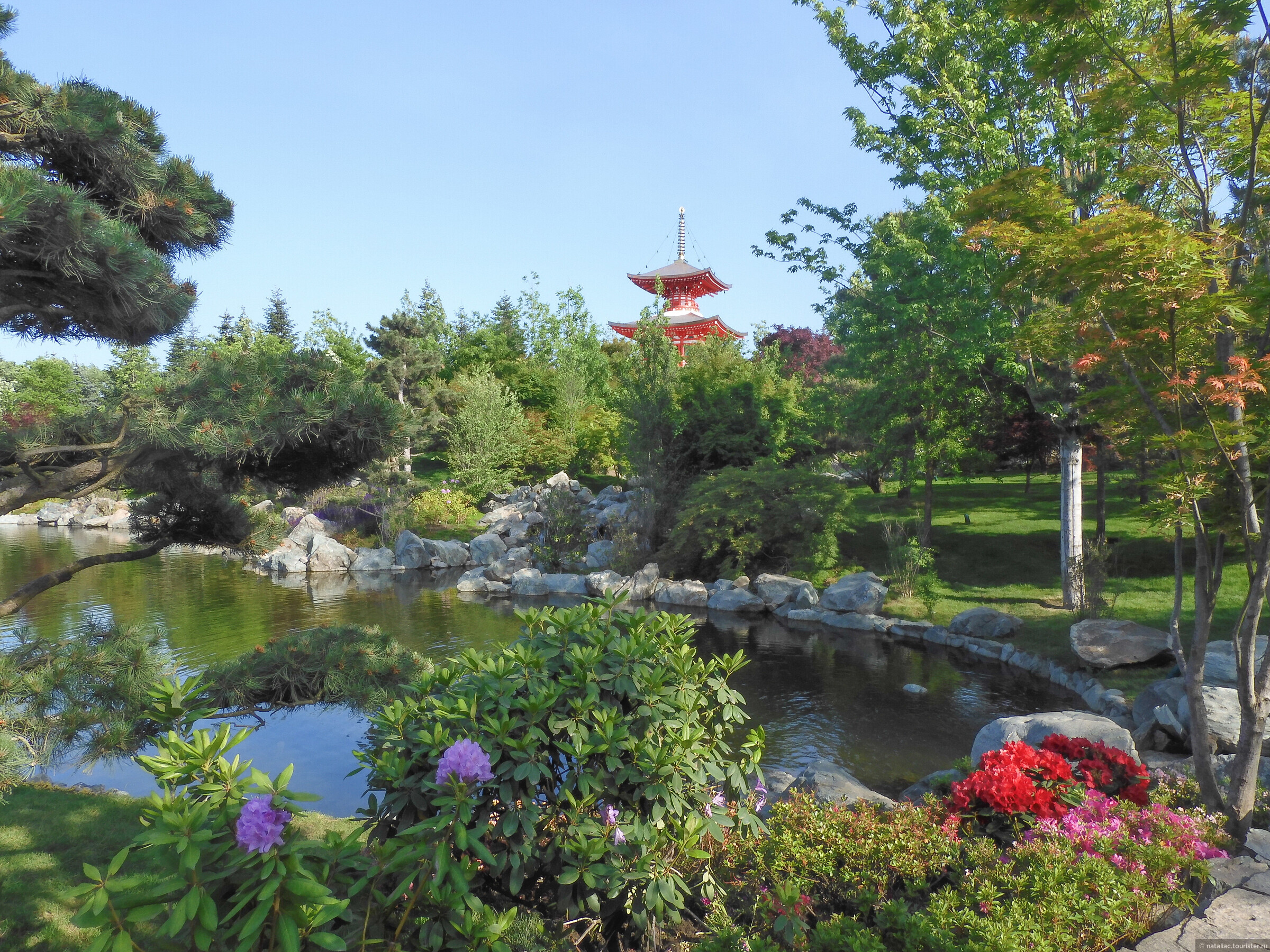 Парк сакуры в краснодаре. Японский сад в парке Галицкого. Краснодарский парк японский сад. Парк Краснодар японский сад. Ресторан в японском саду в парке Галицкого.