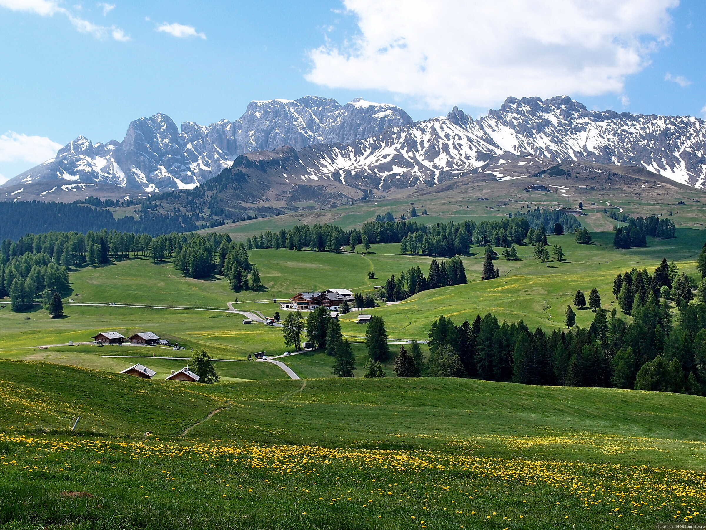 Альпийские Луга Абхазия