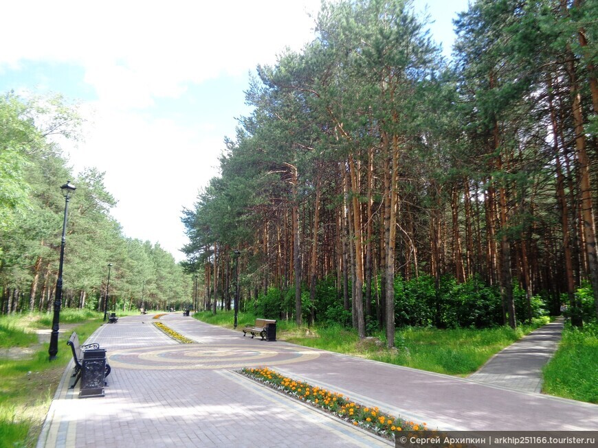 Красивый парк «Кедровый Лог» в центре Сургута