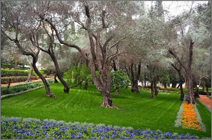 Бахайские сады - самая популярная достопримечательность Хайфы