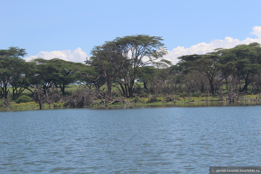 Два озера Кении