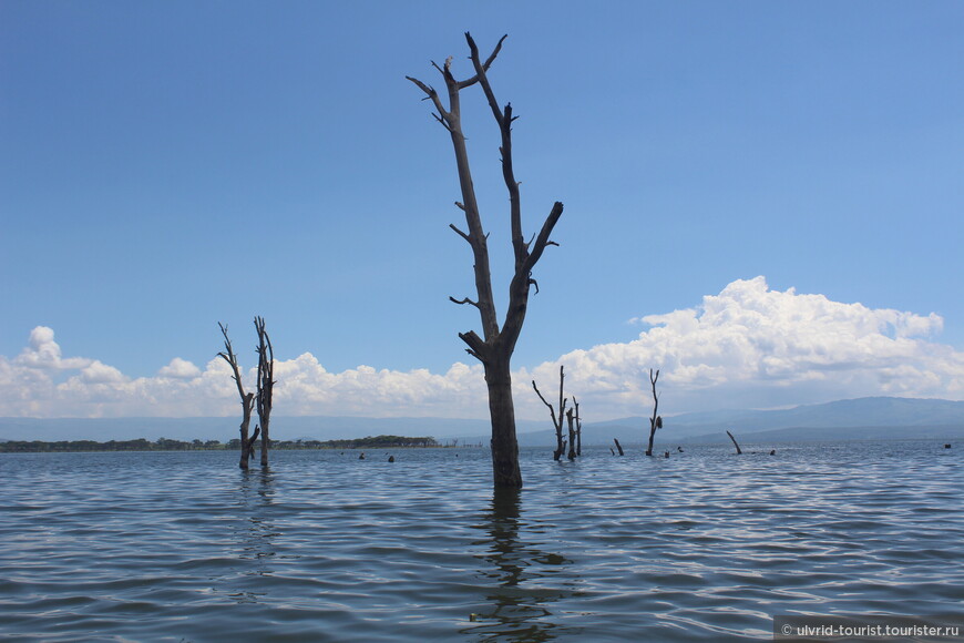 Два озера Кении