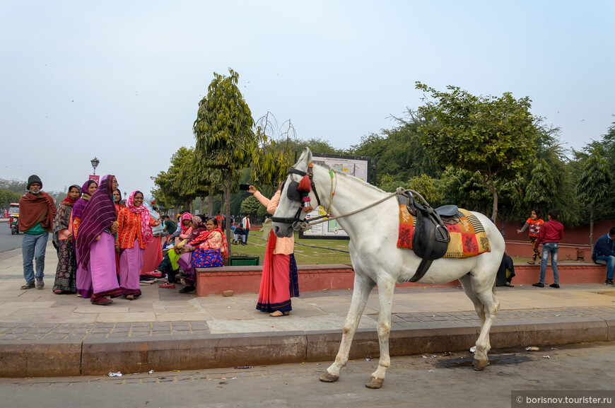 Джайпур. Улицы, храмы и танцовщицы