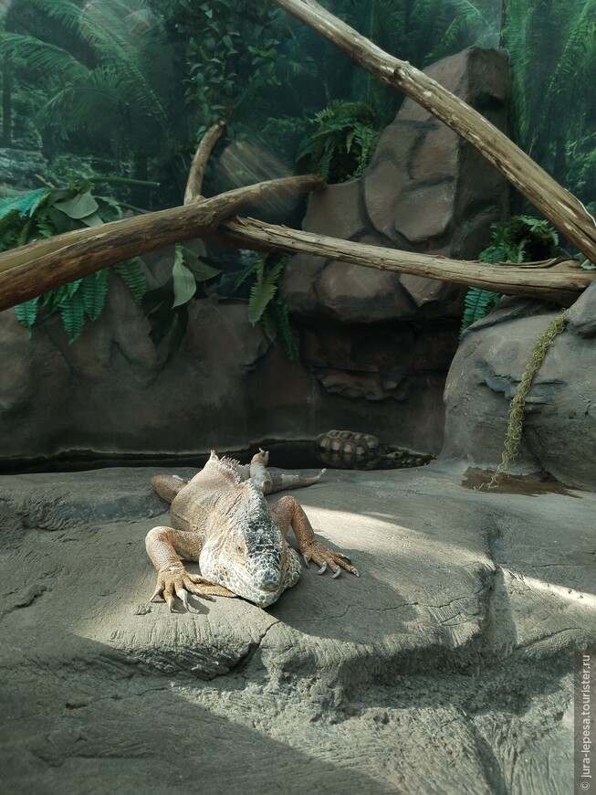 Минский зоопарк. 