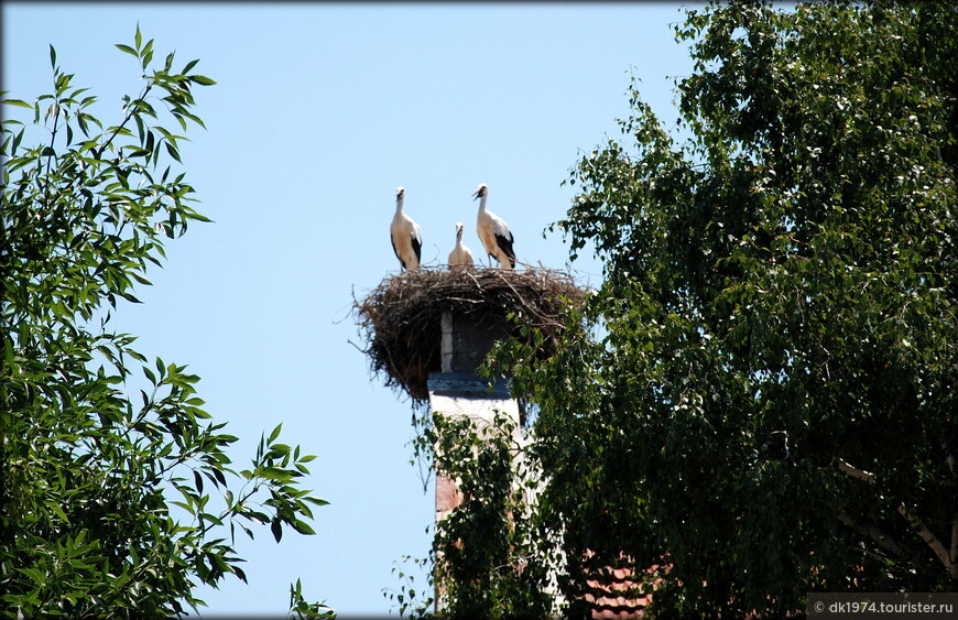 Storks или город, в котором живет счастье 