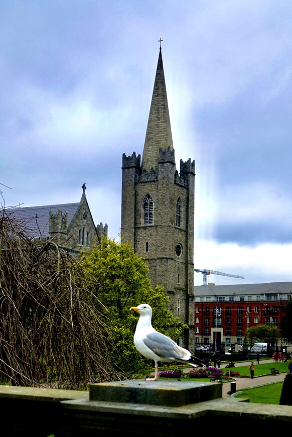 Ирландия. 2-й день - Достопримечательности Дублина и его окрестностей