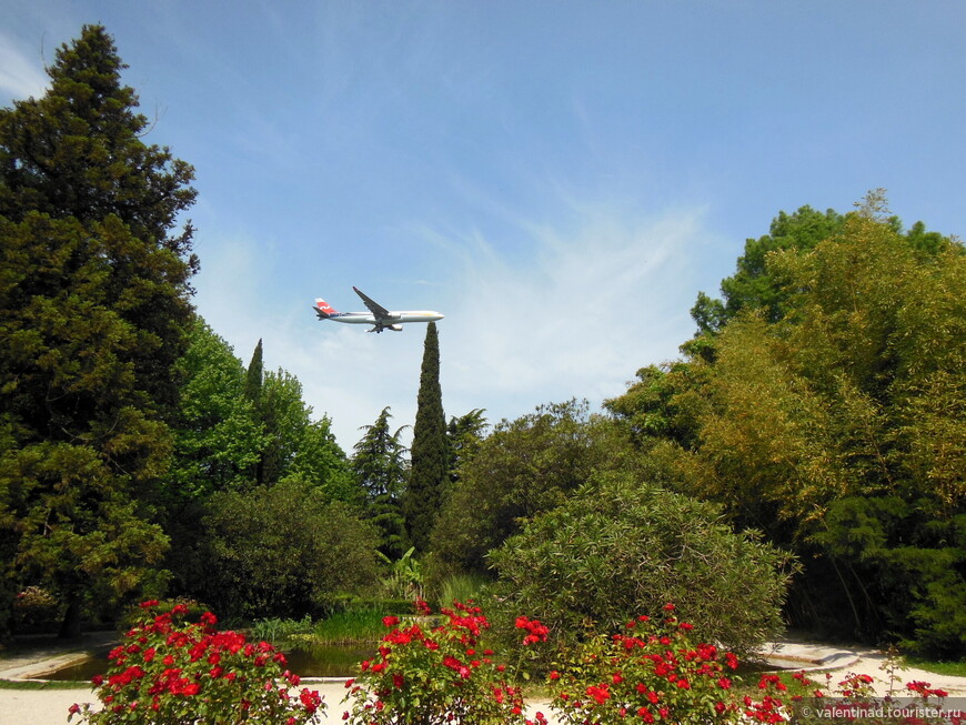 Так как парк находится недалеко от аэропорта Сочи, над парком низко пролетают самолёты (заходят на посадку).