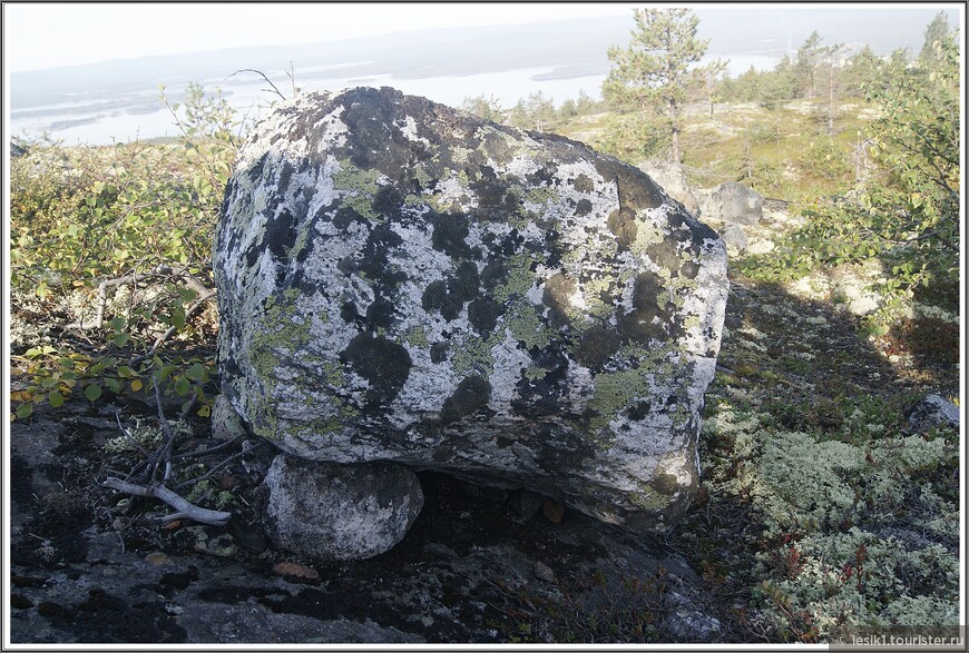 Камни покрыты лишайником и это помогло определить их возраст. Лихенометрическая методика датировки по эпилитным лишайникам, неоднократно проводимая на мегалитических комплексах Скандинавии и Кольского полуострова, дает минимальный возраст Камней Сейда около 8-10 тыс. лет.