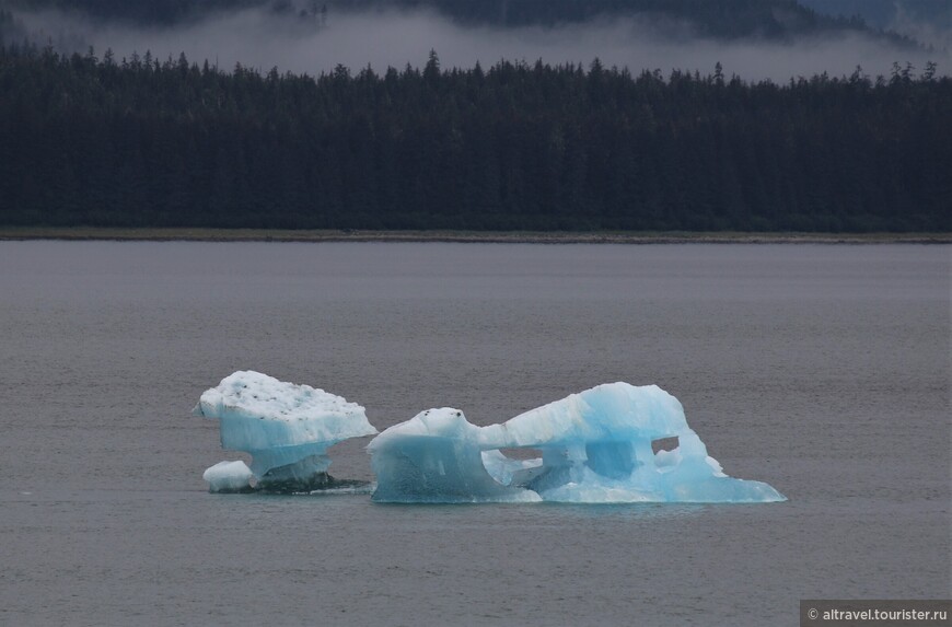 По всему фьорду плавают айсберги.