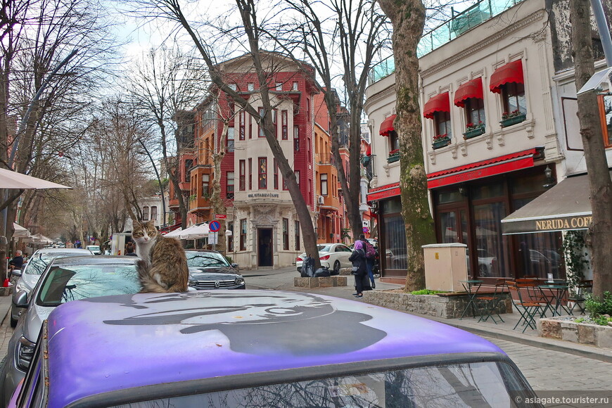 Архипелаг кварталов. Кузгунджук — яркий и нетуристический Стамбул 