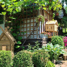 Гостевой сад «Ландизайн»