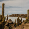 Вид на солончак в туре на Уюни Боливия с острова Инкауаси