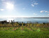 Flat in a Sunny Location Near Lake Constance With a Magnificent View