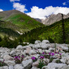 Национальный парк Ала-Арча. Кыргызстан 