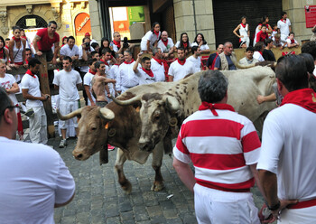 Во время забега с быками в Испании пострадали пять человек