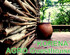 Гостевой дом Agro Guesthouse Korena