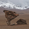 каменное древо в пустыне Дали Боливия